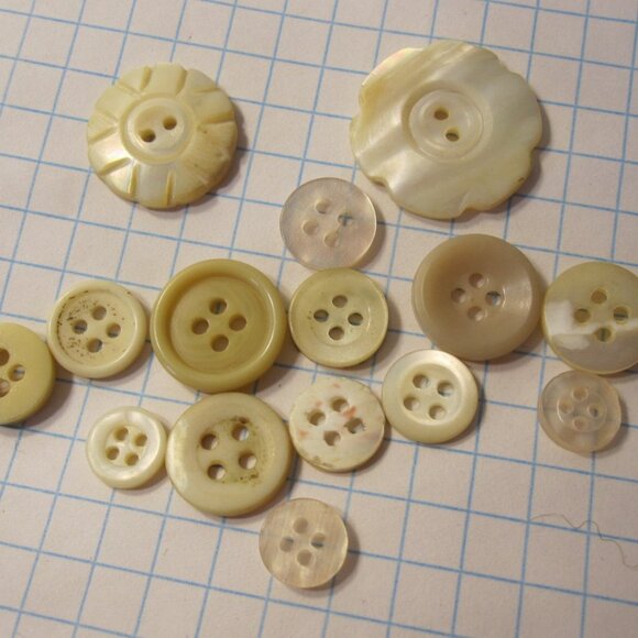 Vintage lot of Sewing Buttons - Mix of Rounds w/ carved Shells - Picture 1 of 1